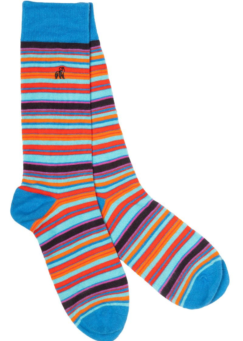 socks-blue-and-red-narrow-striped-bamboo-socks-1_5714ec57-2726-400b-b654-dbd4c427b407.jpg