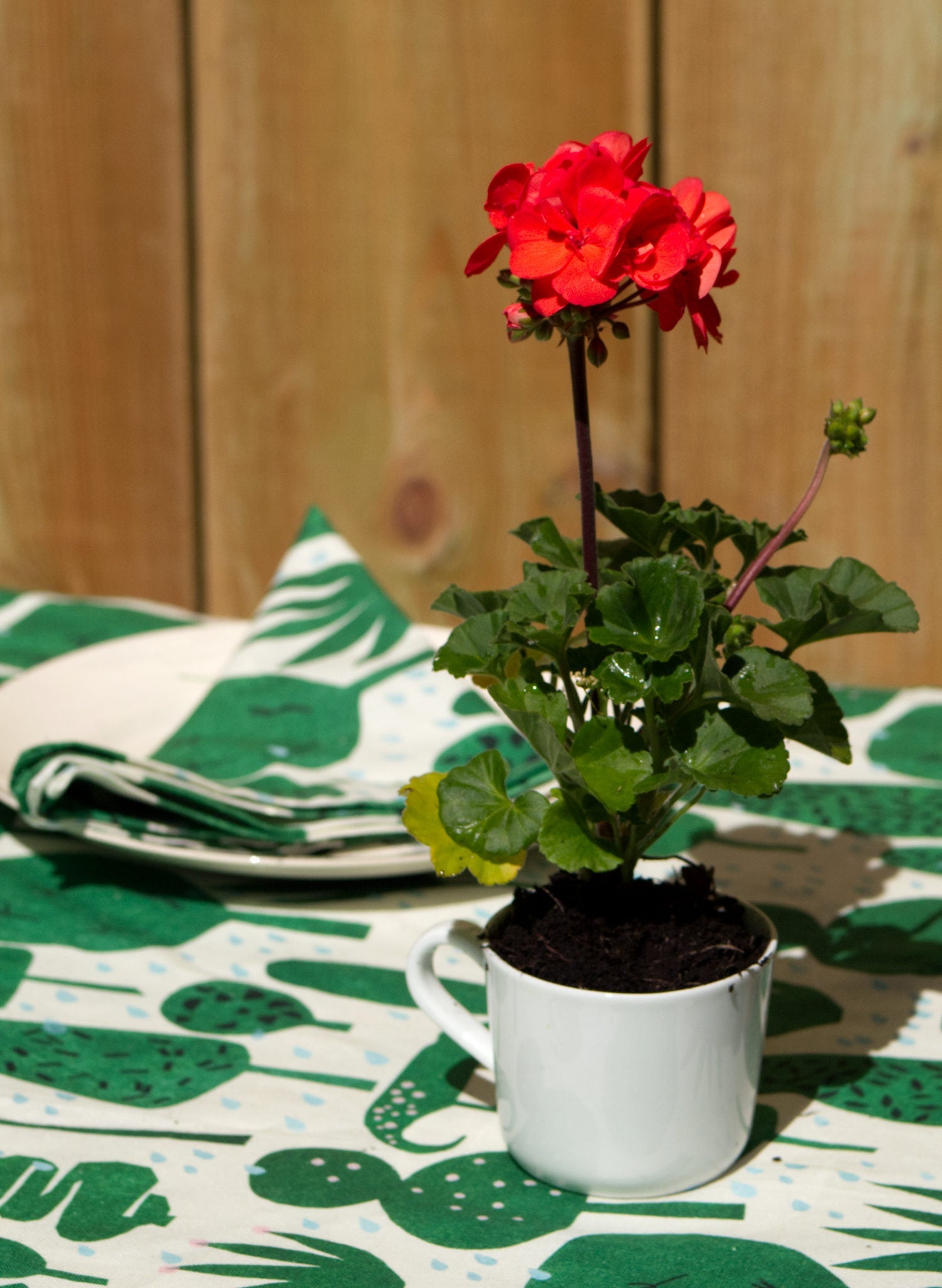 tablecloth-topiary-2.jpg