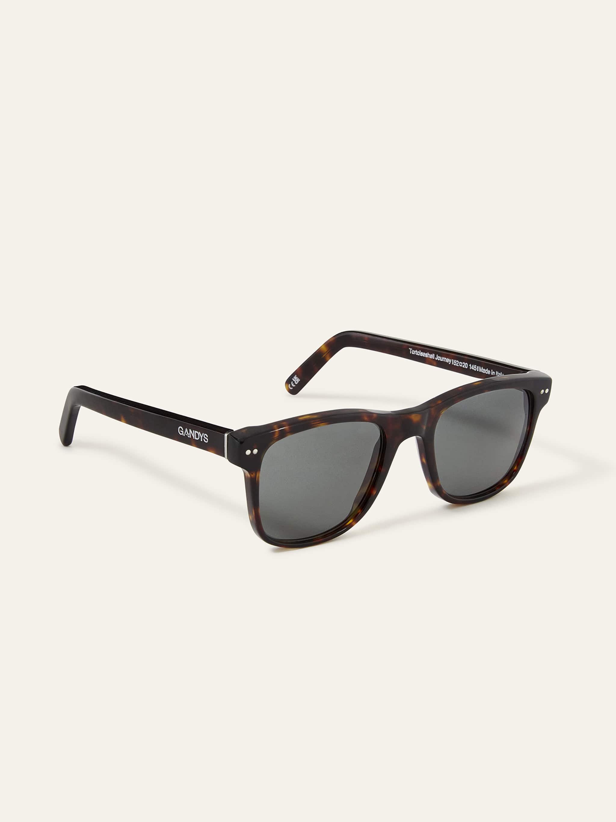 tortoiseshell-journey-sunglasses-773920.jpg