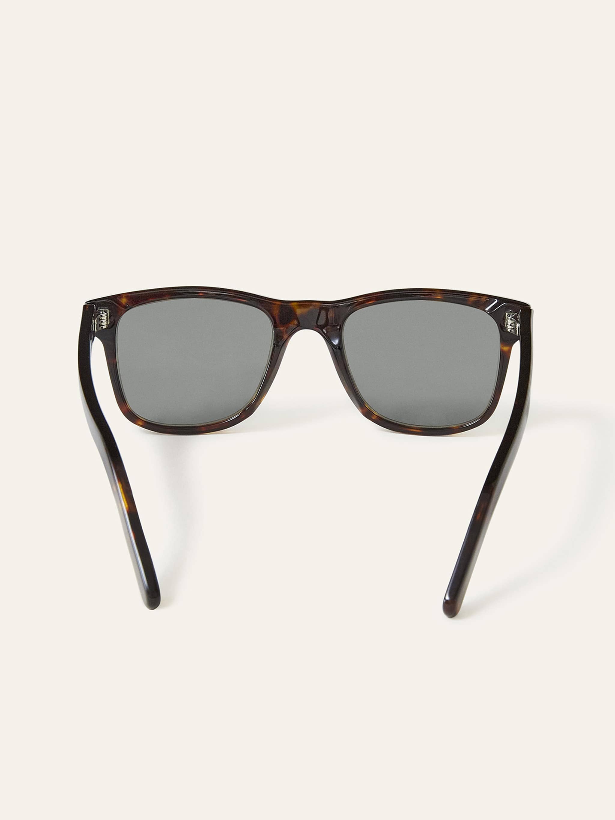 tortoiseshell-journey-sunglasses-957715.jpg